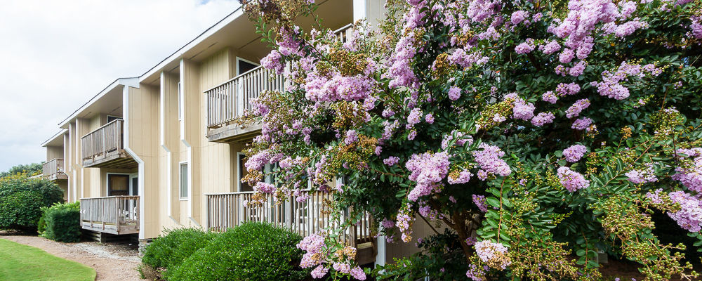 Sea Scape Beach And Golf Villas Kitty Hawk Exterior foto